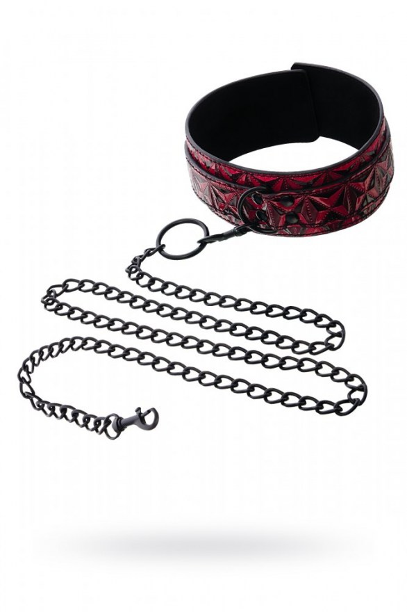 osheynikspovodkomcollarwithleashkrasnyy